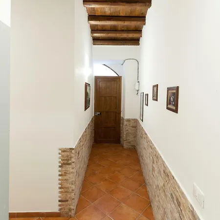 Kasavucciria *